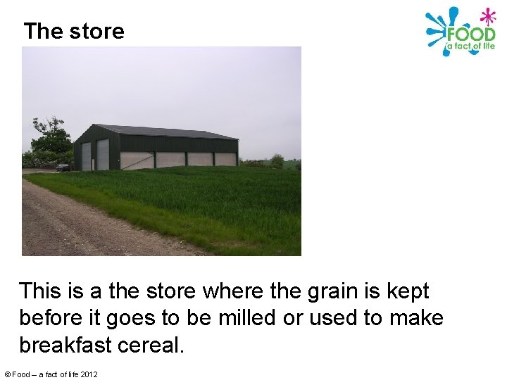 The store This is a the store where the grain is kept before it