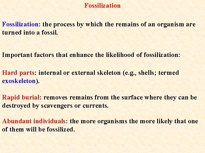 Fossilization: the process by which the remains of an organism are turned into a