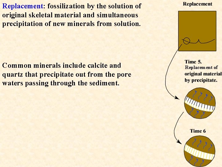 Replacement: fossilization by the solution of original skeletal material and simultaneous precipitation of new
