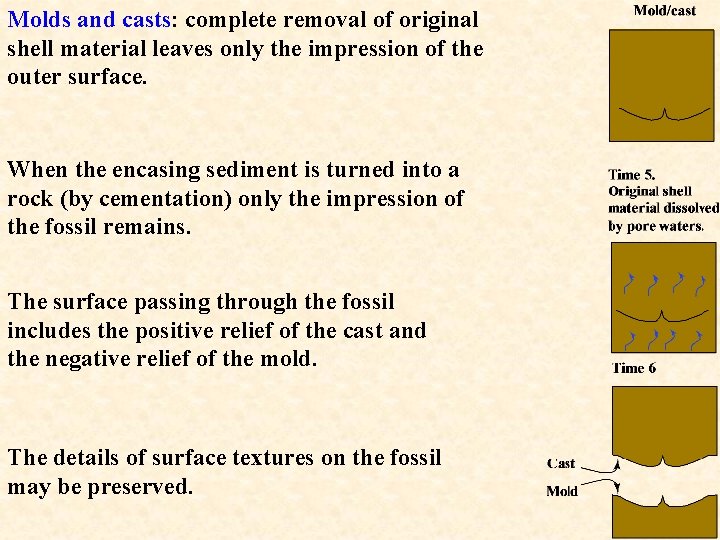 Molds and casts: complete removal of original shell material leaves only the impression of