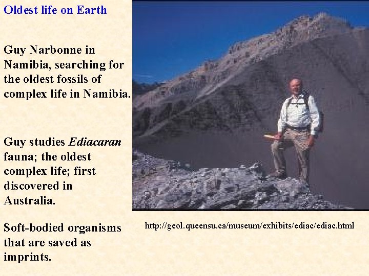 Oldest life on Earth Guy Narbonne in Namibia, searching for the oldest fossils of