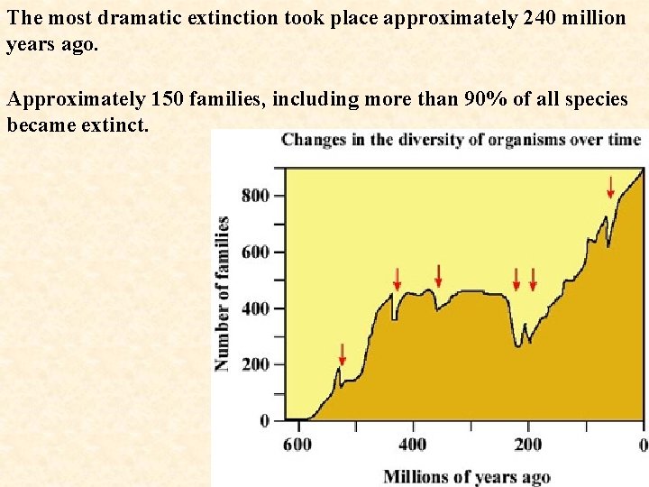 The most dramatic extinction took place approximately 240 million years ago. Approximately 150 families,