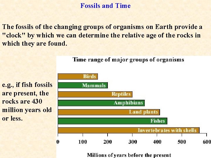 Fossils and Time The fossils of the changing groups of organisms on Earth provide