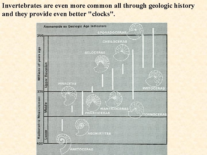Invertebrates are even more common all through geologic history and they provide even better