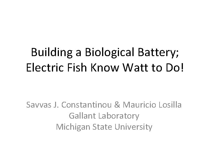 Building a Biological Battery; Electric Fish Know Watt to Do! Savvas J. Constantinou &