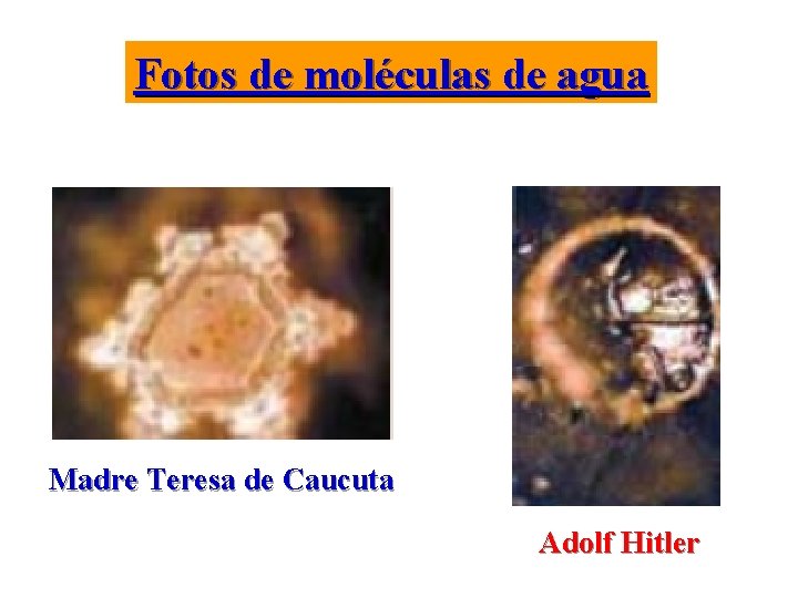 Fotos de moléculas de agua Madre Teresa de Caucuta Adolf Hitler 