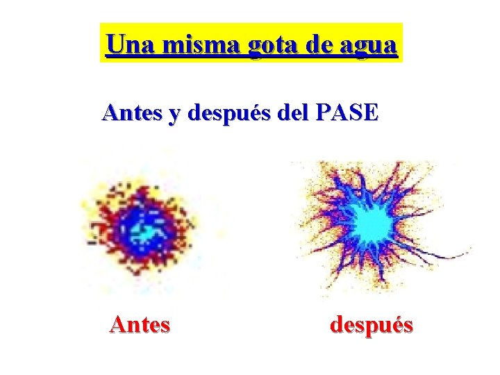 Una misma gota de agua Antes y después del PASE Antes después 