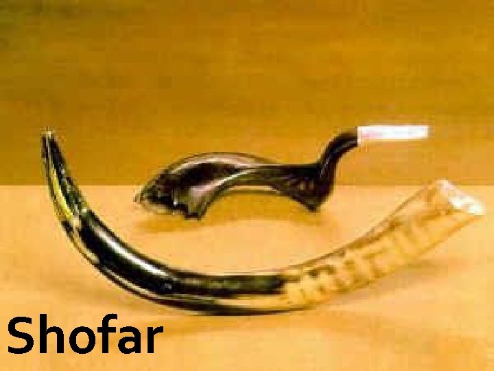 Shofar 