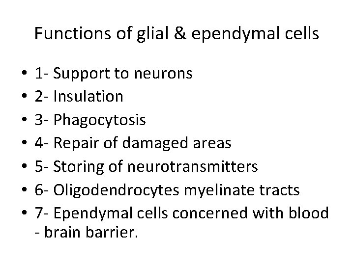 Functions of glial & ependymal cells • • 1 - Support to neurons 2