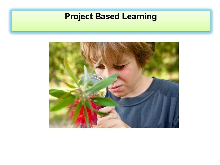Project Based Learning 