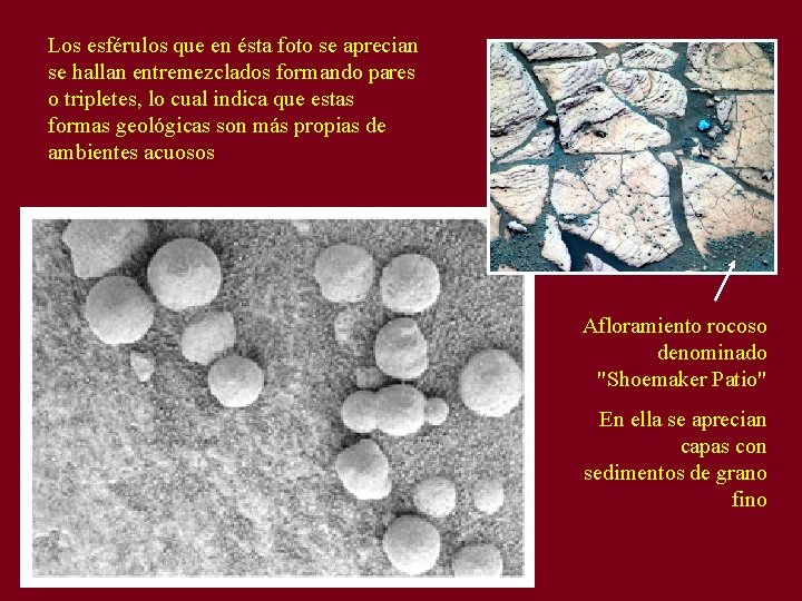 Los esférulos que en ésta foto se aprecian se hallan entremezclados formando pares o