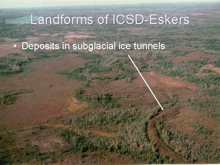 Landforms of ICSD-Eskers • Deposits in subglacial ice tunnels 