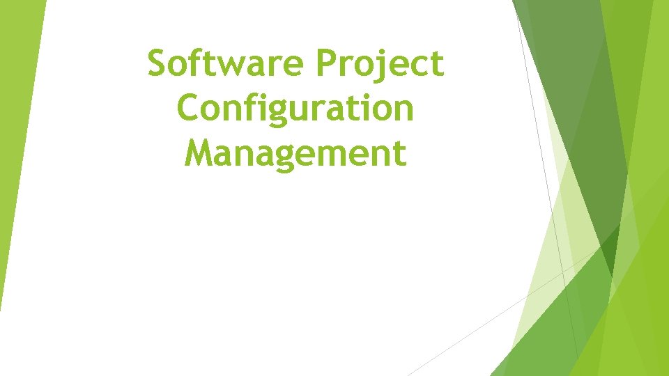 Software Project Configuration Management 