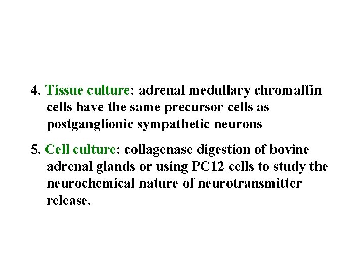 4. Tissue culture: adrenal medullary chromaffin cells have the same precursor cells as postganglionic