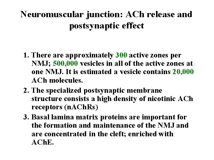 Neuromuscular junction: ACh release and postsynaptic effect 1. There approximately 300 active zones per