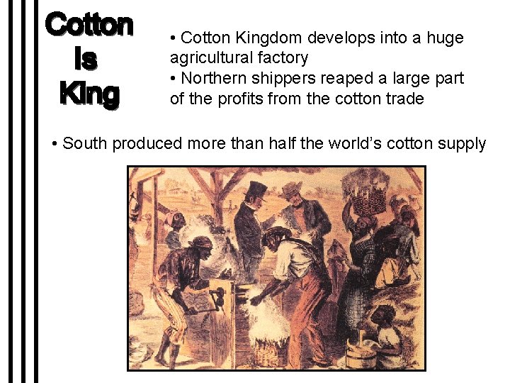  • Cotton Kingdom develops into a huge agricultural factory • Northern shippers reaped