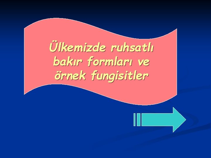 Ülkemizde ruhsatlı bakır formları ve örnek fungisitler 