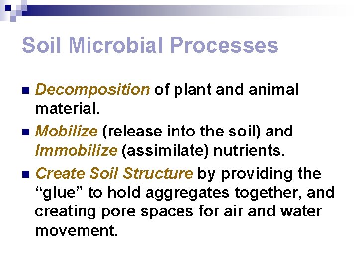 Soil Microbial Processes Decomposition of plant and animal material. n Mobilize (release into the