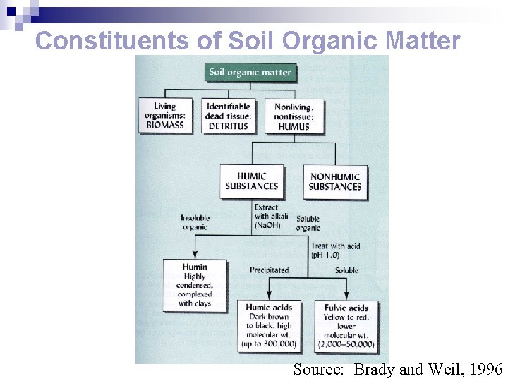 Constituents of Soil Organic Matter Source: Brady and Weil, 1996 