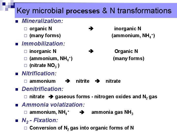 Key microbial processes & N transformations n Mineralization: organic N ¨ (many forms) ¨