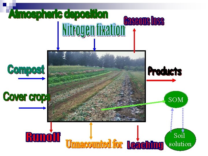 SOM Soil solution 