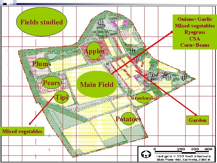 Onions+Garlic Mixed vegetables Ryegrass CSA Corn+Beans Fields studied Apples Plums Pears Tipi Main Field