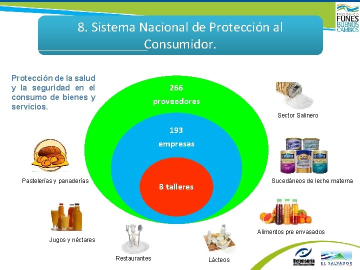 8. Sistema Nacional de Protección al Consumidor. Protección de la salud y la seguridad