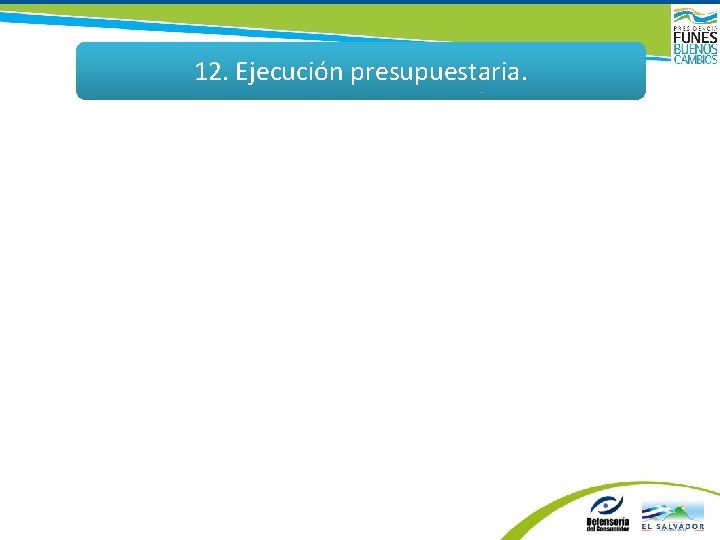 12. Ejecución presupuestaria. 