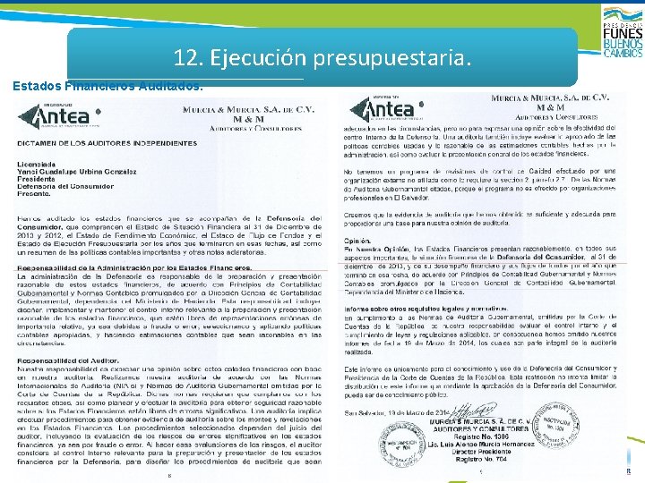 12. Ejecución presupuestaria. Estados Financieros Auditados. 