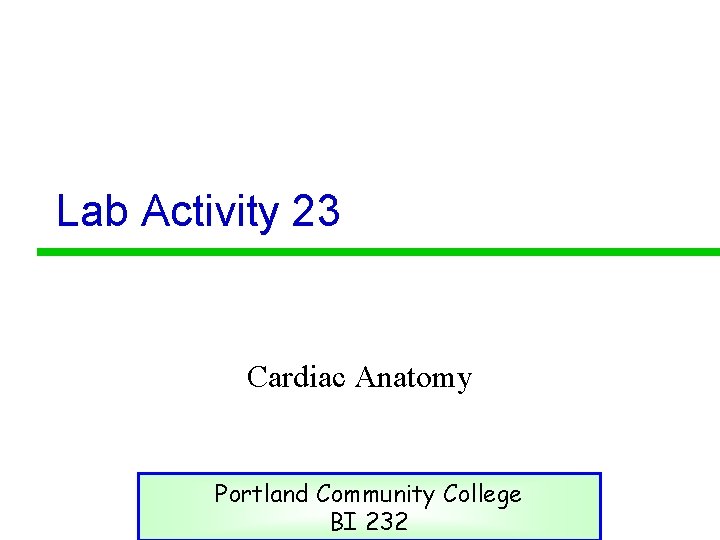 Lab Activity 23 Cardiac Anatomy Portland Community College BI 232 
