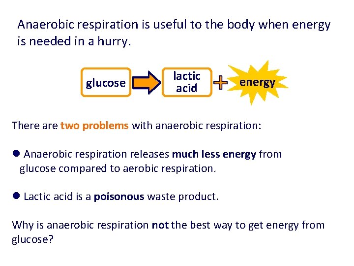 Anaerobic respiration is useful to the body when energy is needed in a hurry. Anaerobic respiration is useful to the body when energy is needed in a hurry.