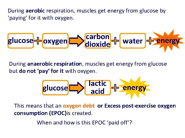 During aerobic respiration, muscles get energy from glucose by ‘paying’ for it with oxygen. During aerobic respiration, muscles get energy from glucose by ‘paying’ for it with oxygen.