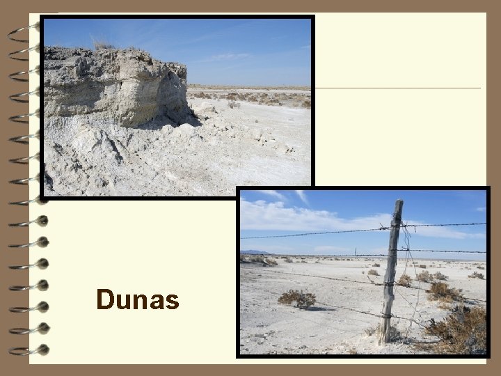 Dunas 