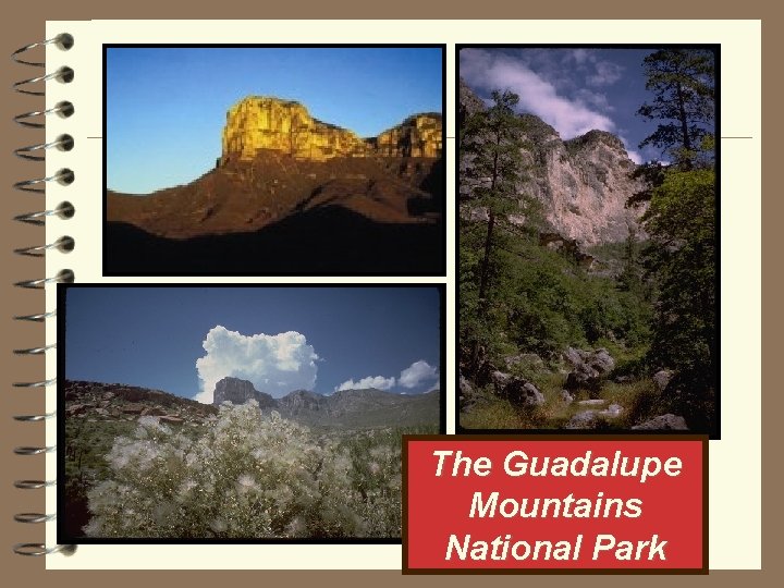 The Guadalupe Mountains National Park 