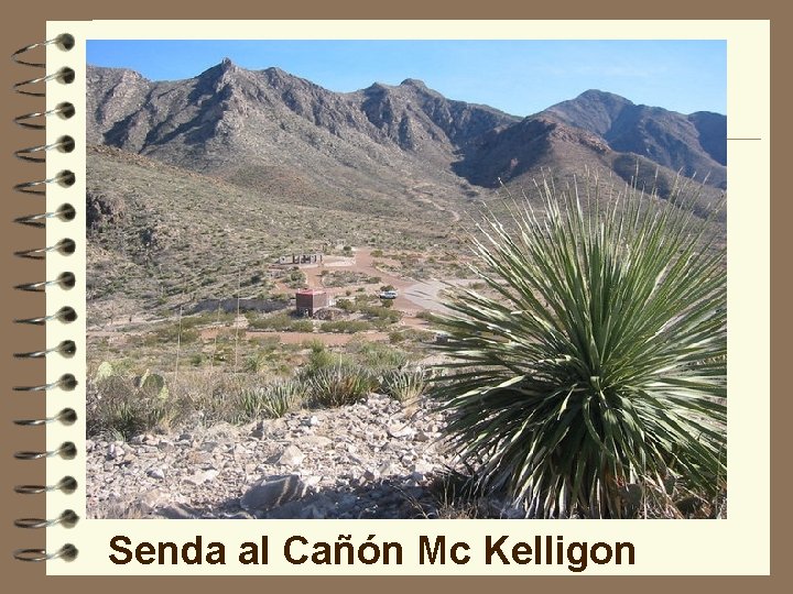 Senda al Cañón Mc Kelligon 