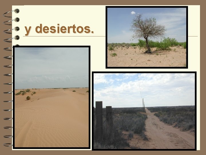 y desiertos. 