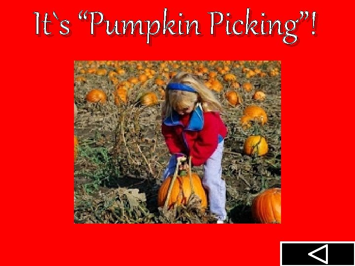 It`s “Pumpkin Picking”! 