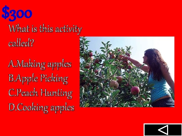 $300 What is this activity called? A. Making apples B. Apple Picking C. Peach