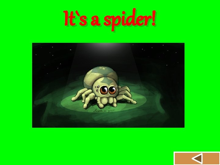 It`s a spider! 