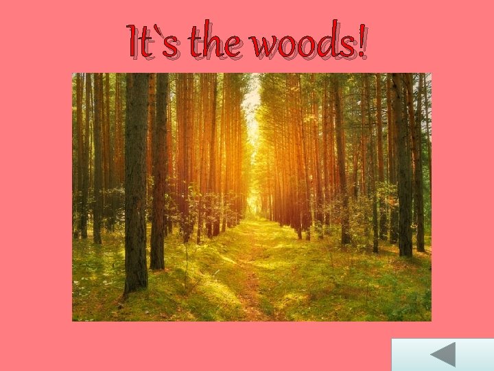 It`s the woods! 