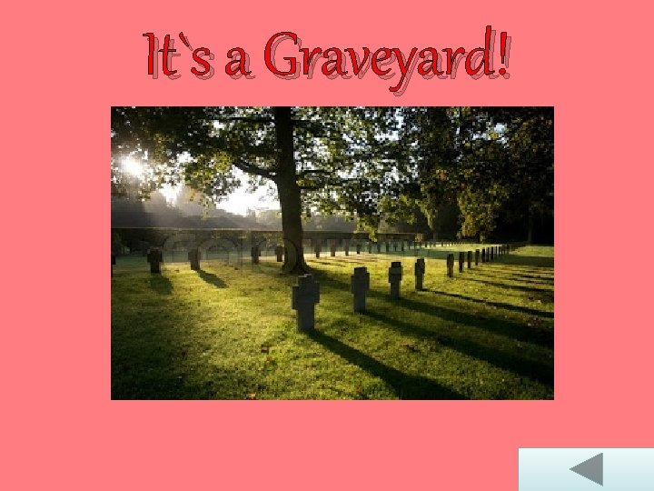It`s a Graveyard! 