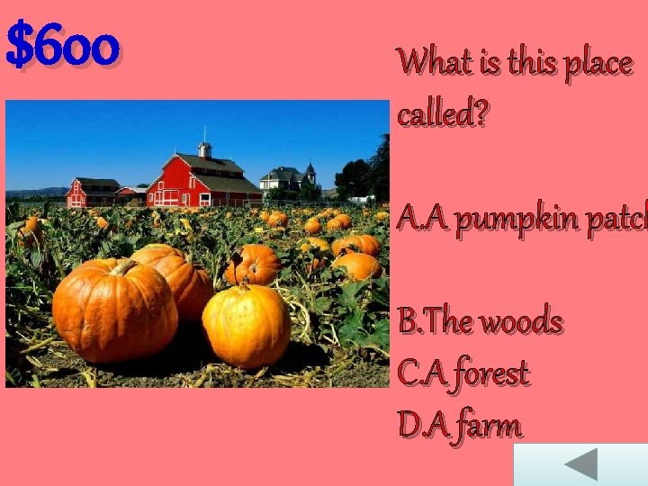 $600 What is this place called? A. A pumpkin patch B. The woods C.
