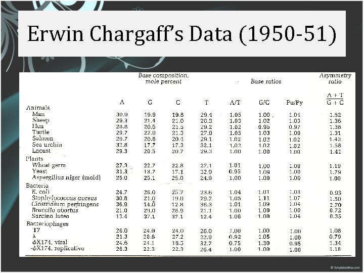 Erwin Chargaff’s Data (1950 -51) 