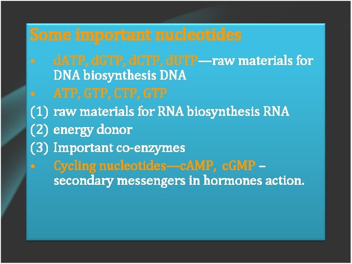 Some important nucleotides • d. ATP, d. GTP, d. CTP, d. UTP—raw materials for