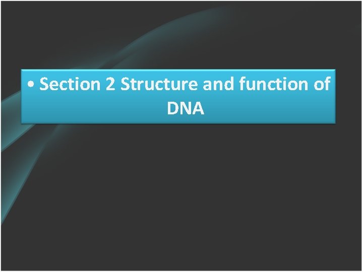  • Section 2 Structure and function of DNA 