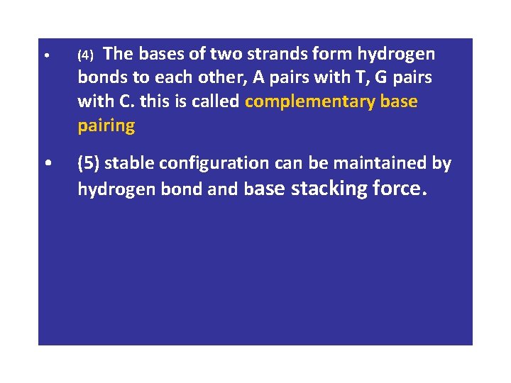 The bases of two strands form hydrogen bonds to each other, A pairs with