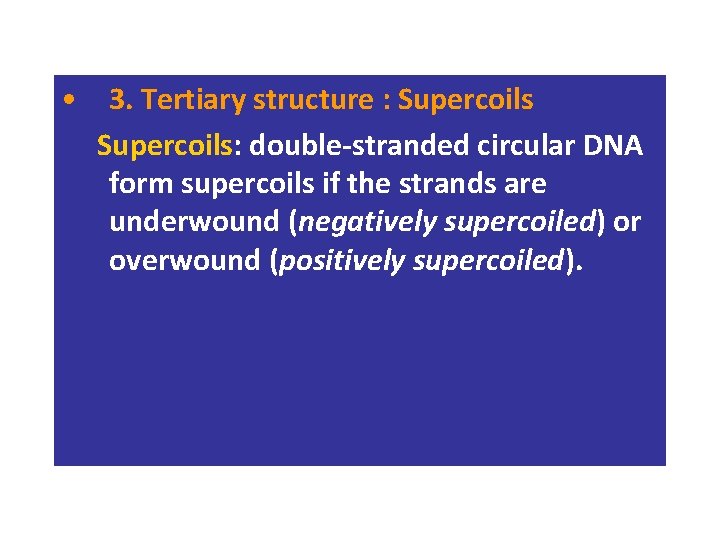  • 3. Tertiary structure : Supercoils: double-stranded circular DNA form supercoils if the