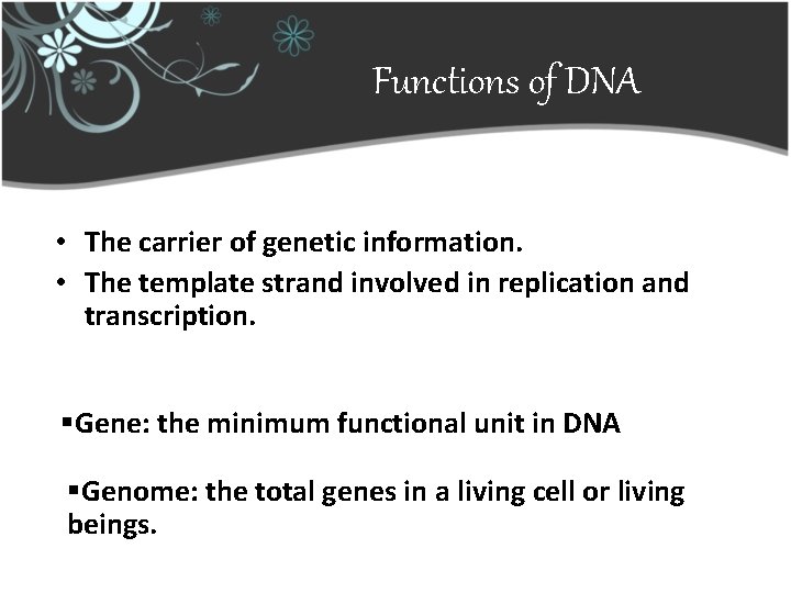 Functions of DNA • The carrier of genetic information. • The template strand involved