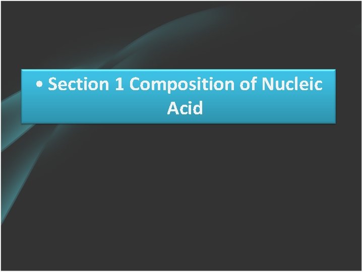  • Section 1 Composition of Nucleic Acid 