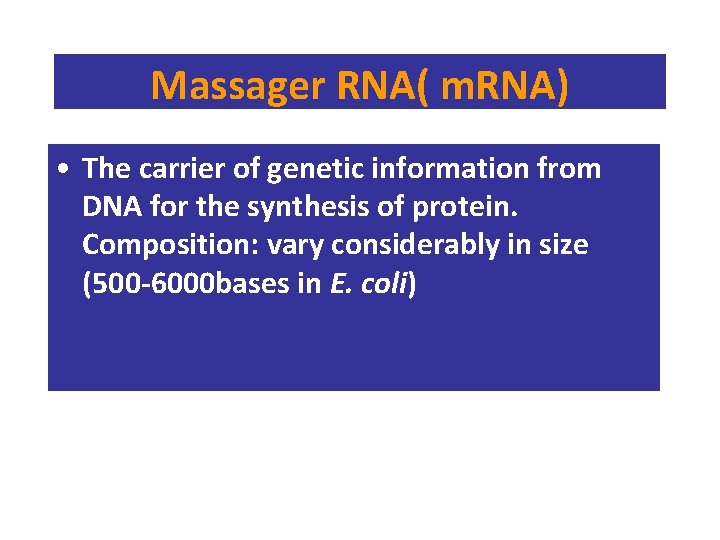 Massager RNA( m. RNA) • The carrier of genetic information from DNA for the